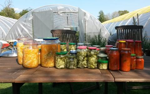 Die Ergebnisse der Verarbeitungsaktion im Überblick.