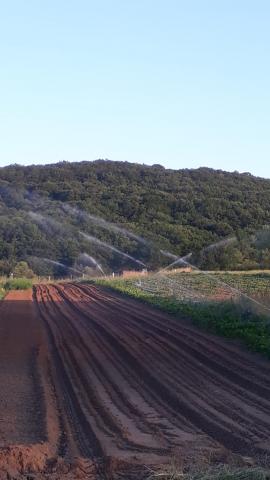 Aktuell muss (leider) sehr viel bewässert werden.