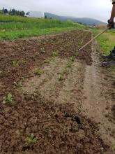 Aber einen Unterschied sieht man schon!