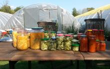 Die Ergebnisse der Verarbeitungsaktion im Überblick.